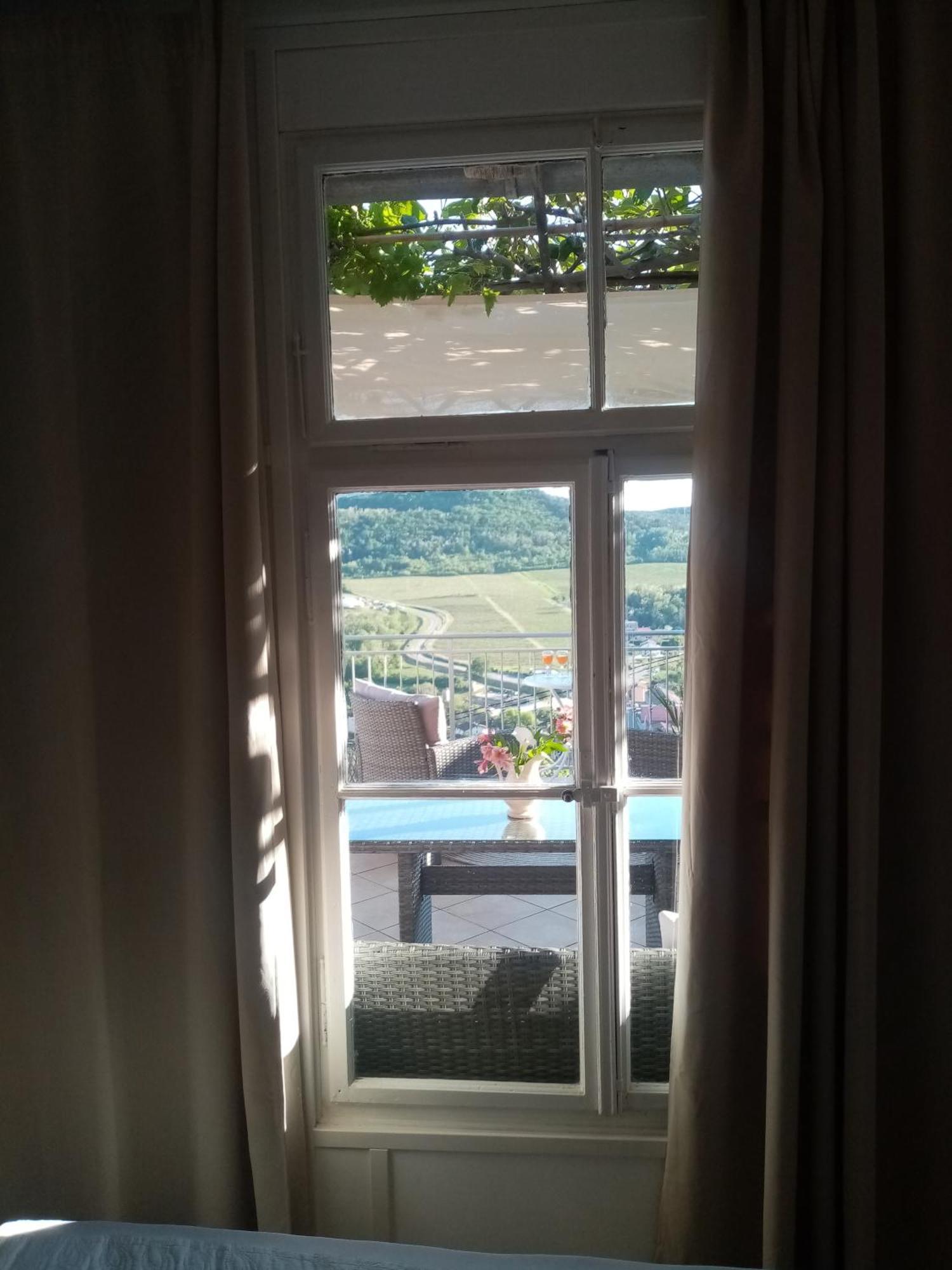 Studio Apartman Bel Vedere Motovun Εξωτερικό φωτογραφία