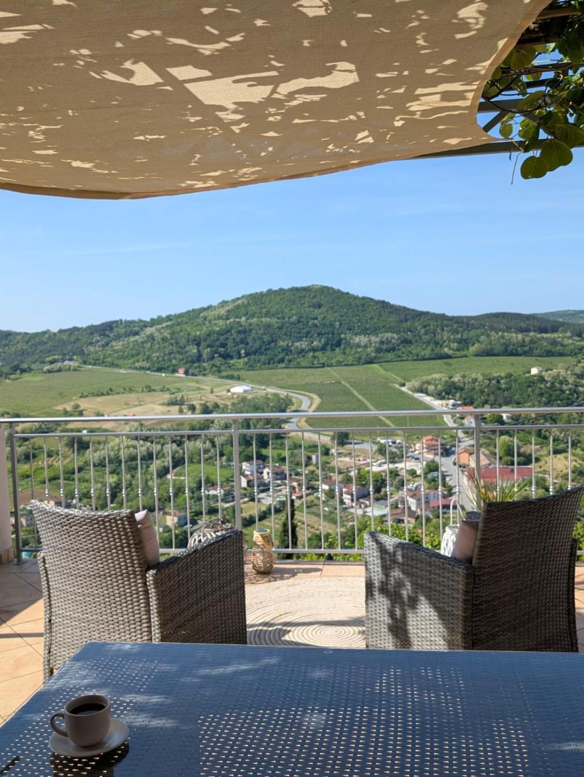 Studio Apartman Bel Vedere Motovun Εξωτερικό φωτογραφία